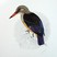 Gray-headed Kingfisher